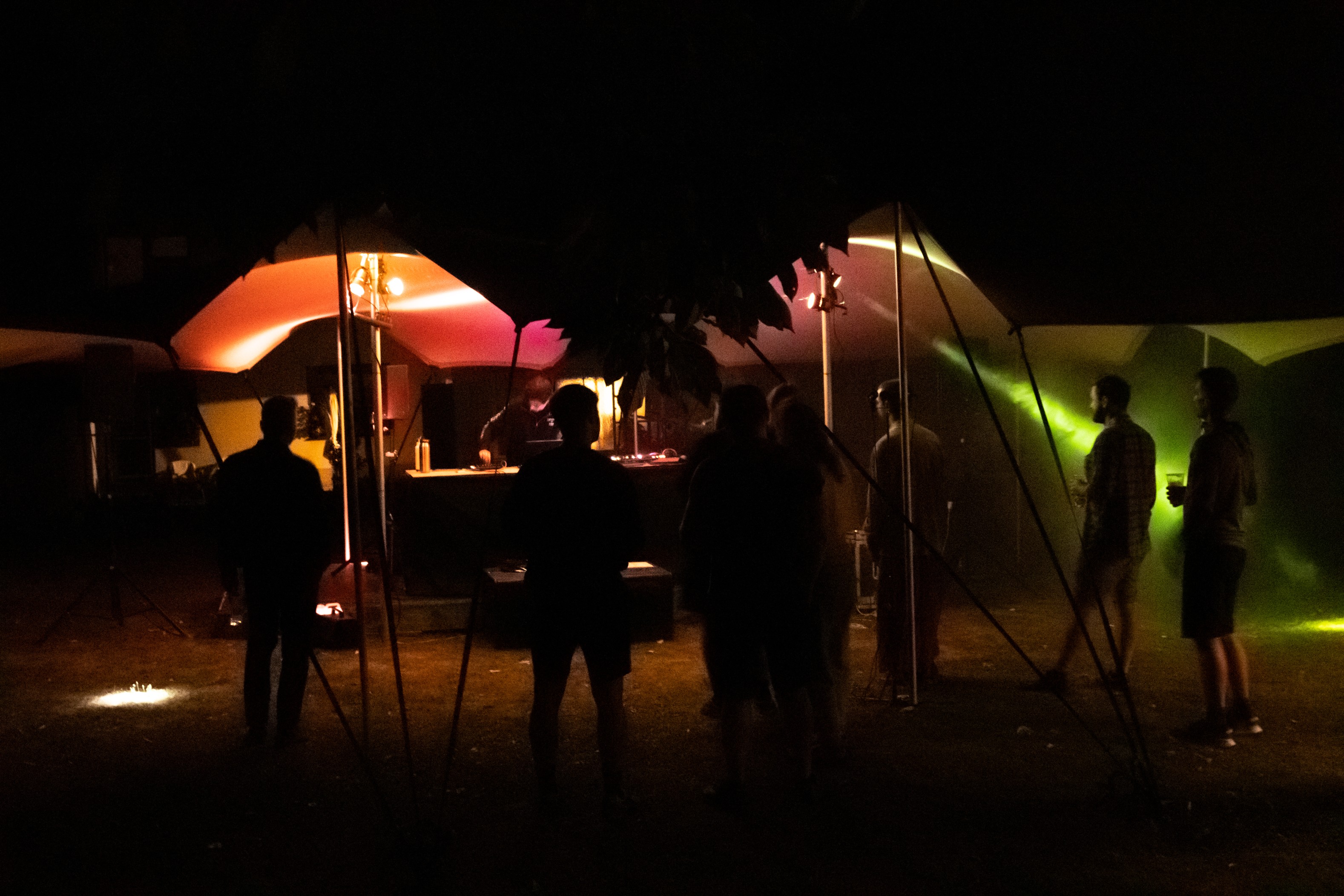 Festival performance image